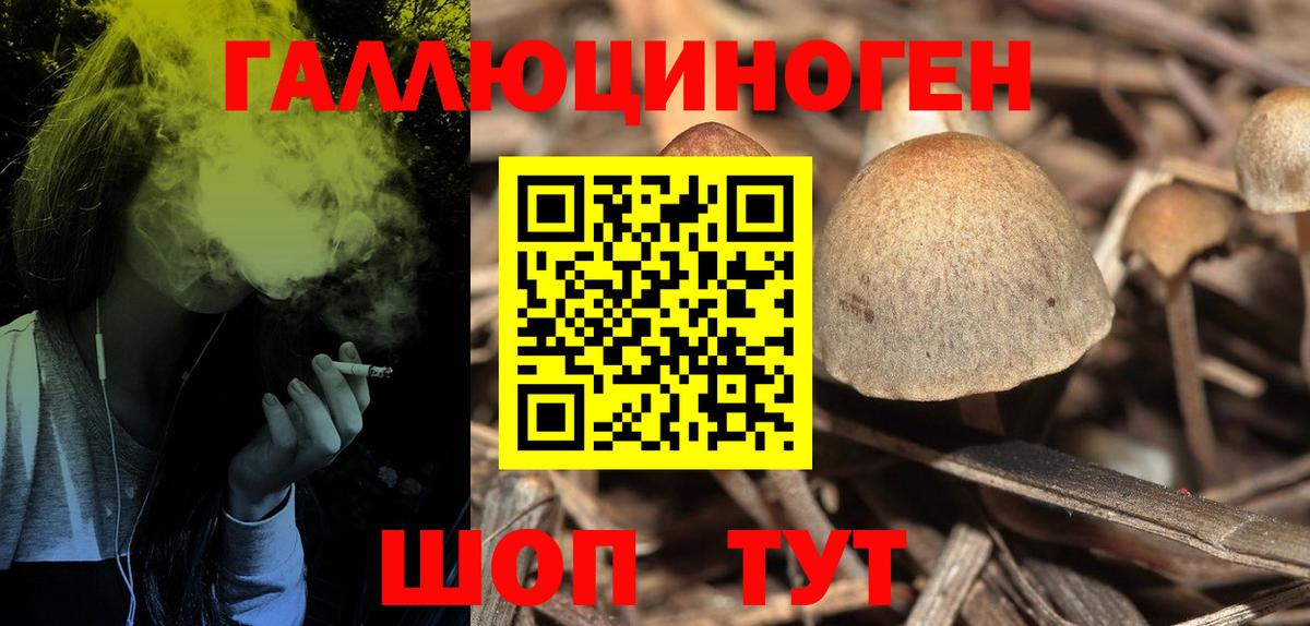 Галлюциногенные грибы мухоморы Боровичи